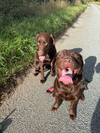 Alfie and Ollie