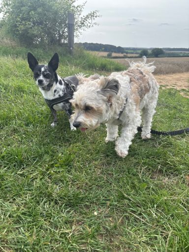 Winnie and Pippin