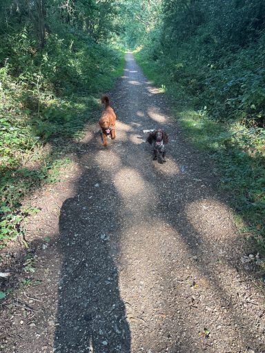 Max and Bentley