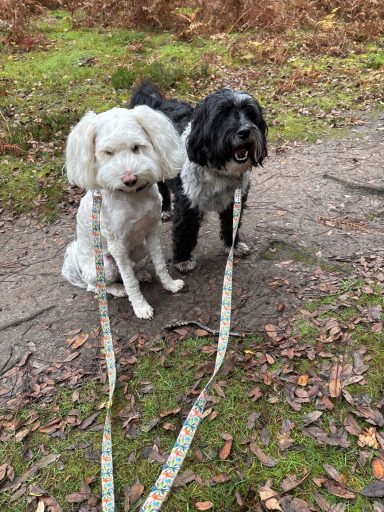 Yuki and Stanley