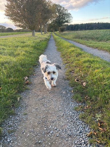 Winnie