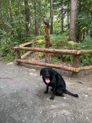 George next to carving